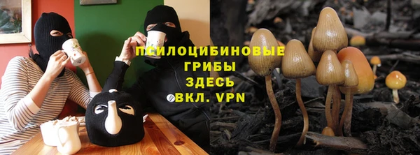 Альфа ПВП Тутаев