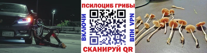где продают наркотики  Ковров  Галлюциногенные грибы MAGIC MUSHROOMS 